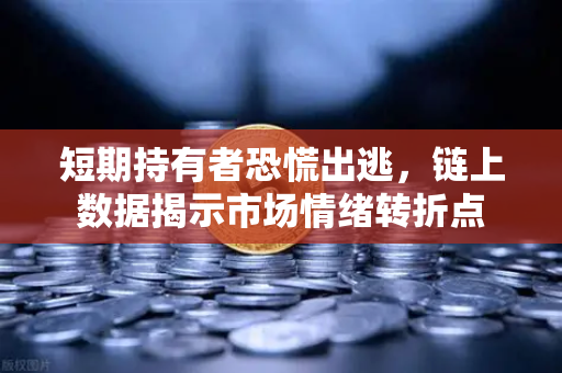 短期持有者恐慌出逃，链上数据揭示市场情绪转折点