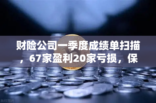 财险公司一季度成绩单扫描，67家盈利20家亏损，保险资金入市偏好深度解析