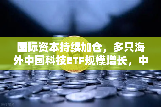 国际资本持续加仓,多只海外中国科技ETF规模增长,中概股与加密资产联动迎来新机遇-第1张图片-欧易交易所 国际资本持续加仓,多只海外中国科技ETF规模增长,中概股与加密资产联动迎来新机遇-第1张图片-欧易交易所