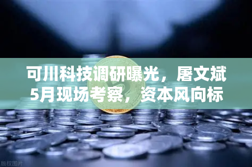 可川科技调研曝光，屠文斌5月现场考察，资本风向标指向何方？