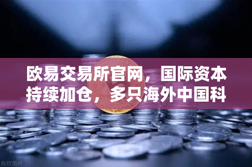 欧易交易所官网，国际资本持续加仓，多只海外中国科技ETF规模增长-第1张图片-欧易交易所