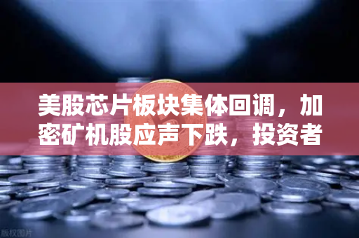 美股芯片板块集体回调，加密矿机股应声下跌，投资者在担心什么？