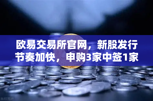 欧易交易所官网，新股发行节奏加快，申购3家中签1家上市1家全流程指南