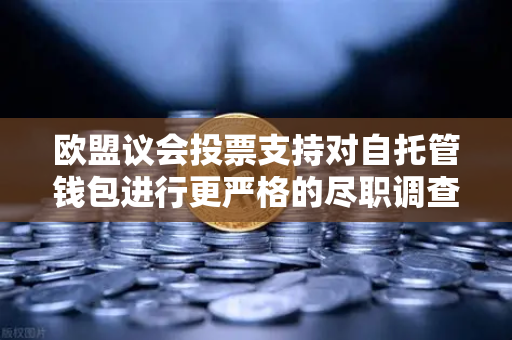 欧盟议会投票支持对自托管钱包进行更严格的尽职调查，加密世界迎来监管新纪元