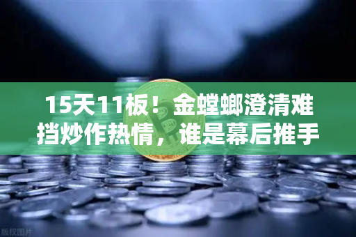 15天11板！金螳螂澄清难挡炒作热情，谁是幕后推手？游资手法深度解析
