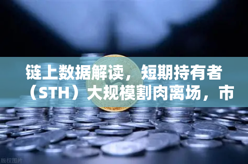 链上数据解读，短期持有者（STH）大规模割肉离场，市场触底信号还是恐慌延续？