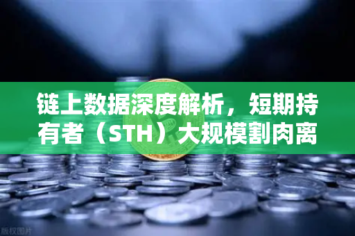 链上数据深度解析，短期持有者（STH）大规模割肉离场，市场底部信号已现？