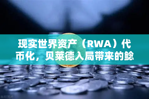 现实世界资产（RWA）代币化，贝莱德入局带来的鲶鱼效应-第1张图片-欧易交易所