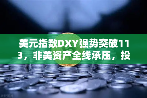 美元指数DXY强势突破113，非美资产全线承压，投资者何去何从？