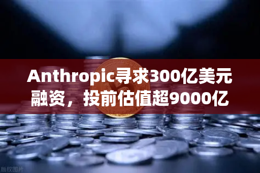 Anthropic寻求300亿美元融资，投前估值超9000亿，AI泡沫还是新起点？
