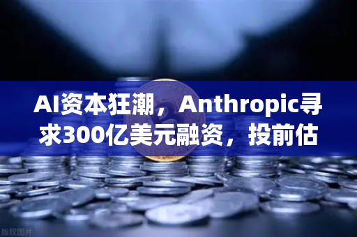 AI资本狂潮，Anthropic寻求300亿美元融资，投前估值超9000亿，AI泡沫还是新起点？