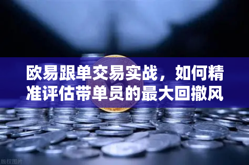 欧易跟单交易实战，如何精准评估带单员的最大回撤风险？