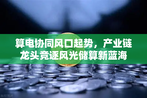 算电协同风口起势，产业链龙头竞逐风光储算新蓝海