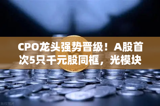 CPO龙头强势晋级！A股首次5只千元股同框，光模块与区块链数据传输的科技共振