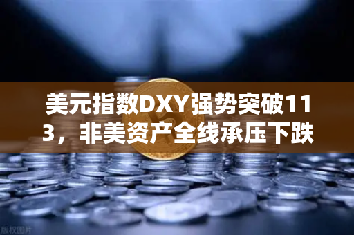 美元指数DXY强势突破113，非美资产全线承压下跌，全球金融格局重塑下的深度解析
