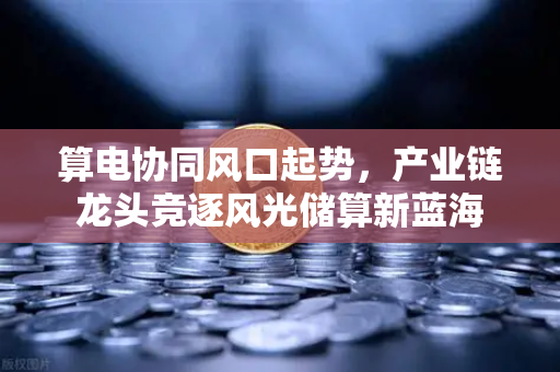 算电协同风口起势，产业链龙头竞逐风光储算新蓝海