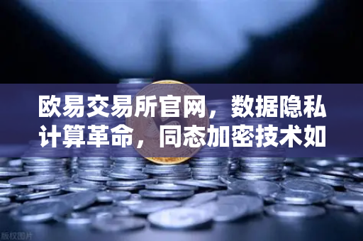 欧易交易所官网，数据隐私计算革命，同态加密技术如何实现可用不可见