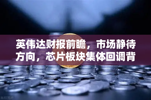 英伟达财报前瞻，市场静待方向，芯片板块集体回调背后的真相
