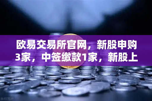 欧易交易所官网，新股申购3家，中签缴款1家，新股上市1家，投资策略全解析