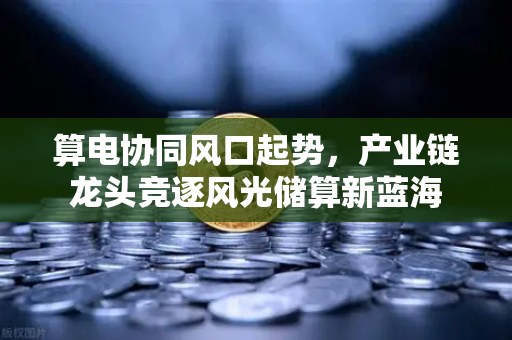 算电协同风口起势，产业链龙头竞逐风光储算新蓝海