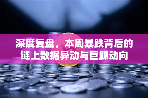 深度复盘，本周暴跌背后的链上数据异动与巨鲸动向