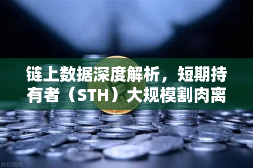 链上数据深度解析，短期持有者（STH）大规模割肉离场，市场底部信号是否已至？