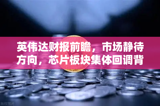 英伟达财报前瞻，市场静待方向，芯片板块集体回调背后的真相