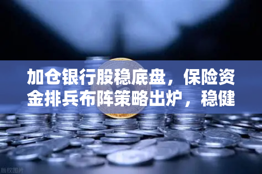加仓银行股稳底盘，保险资金排兵布阵策略出炉，稳健资金会配置加密资产吗？