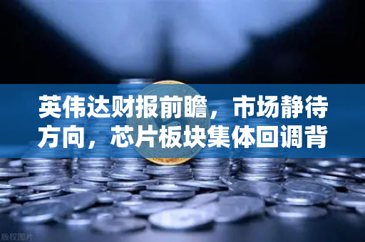 英伟达财报前瞻，市场静待方向，芯片板块集体回调背后的真相-第1张图片-欧易交易所