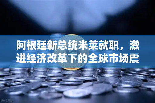 阿根廷新总统米莱就职，激进经济改革下的全球市场震荡与欧易交易所的战略机遇