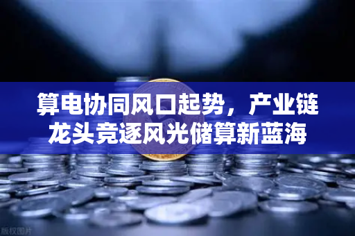 算电协同风口起势，产业链龙头竞逐风光储算新蓝海