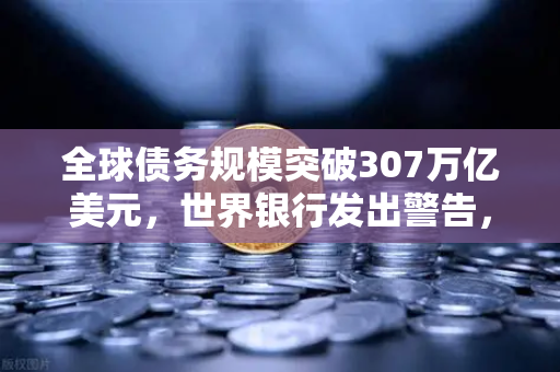 全球债务规模突破307万亿美元，世界银行发出警告，欧易交易所官网深度解析危机下的投资策略