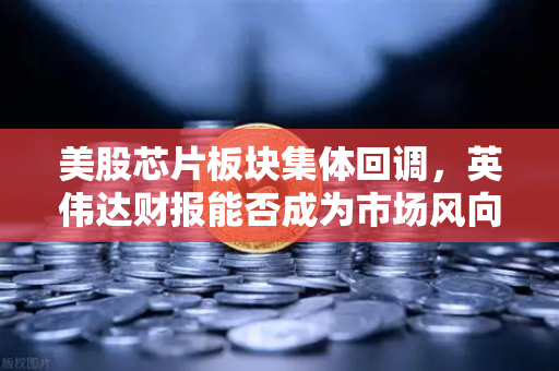 美股芯片板块集体回调，英伟达财报能否成为市场风向标？
