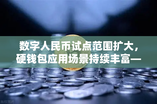 数字人民币试点范围扩大，硬钱包应用场景持续丰富—从支付创新看未来金融格局