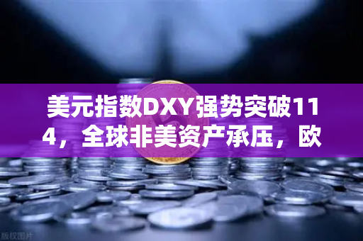 美元指数DXY强势突破114，全球非美资产承压，欧易交易所用户如何避险？