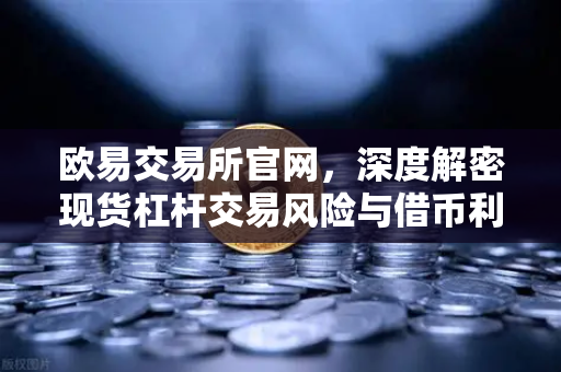 欧易交易所官网，深度解密现货杠杆交易风险与借币利息计算全攻略