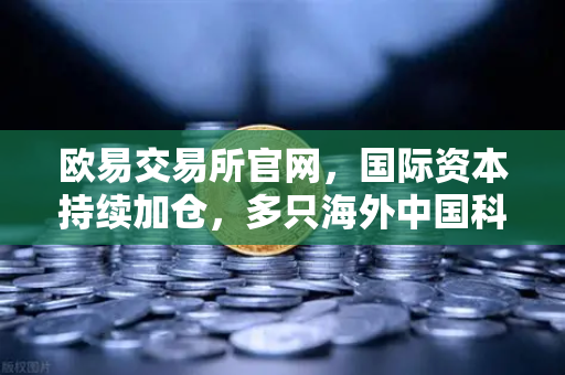 欧易交易所官网，国际资本持续加仓，多只海外中国科技ETF规模增长释放强烈信号-第1张图片-欧易交易所