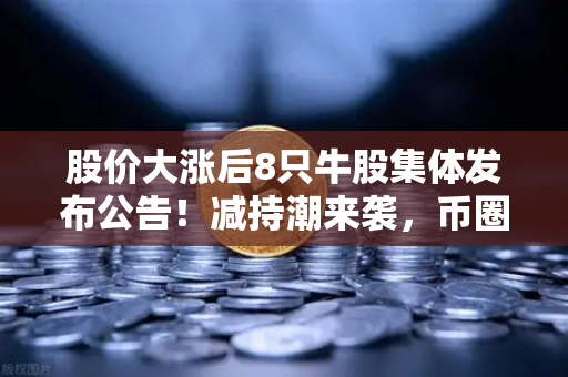 股价大涨后8只牛股集体发布公告!减持潮来袭,币圈大佬会效仿吗?-第1张图片-欧易交易所 股价大涨后8只牛股集体发布公告!减持潮来袭,币圈大佬会效仿吗?-第1张图片-欧易交易所