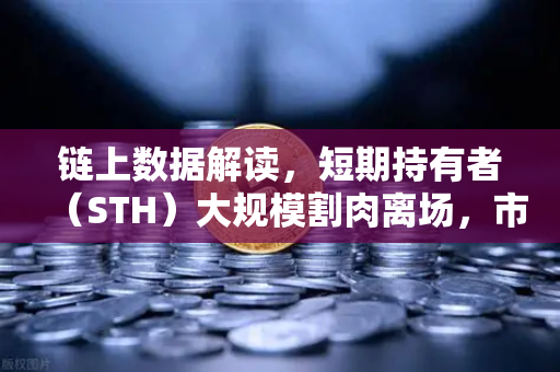链上数据解读,短期持有者(STH)大规模割肉离场,市场底部信号是否显现?-第1张图片-欧易交易所 链上数据解读,短期持有者(STH)大规模割肉离场,市场底部信号是否显现?-第1张图片-欧易交易所