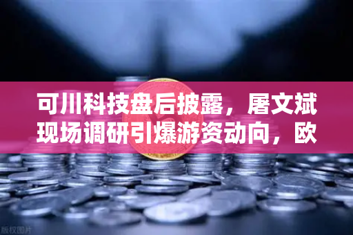 可川科技盘后披露，屠文斌现场调研引爆游资动向，欧易交易所官网深度解析-第1张图片-欧易交易所