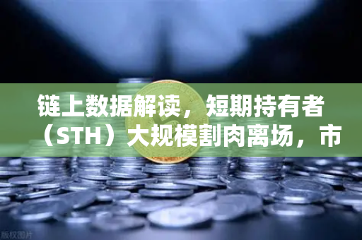 链上数据解读，短期持有者（STH）大规模割肉离场，市场底在何方？