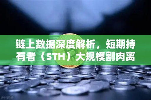 链上数据深度解析，短期持有者（STH）大规模割肉离场，市场见底信号已现？