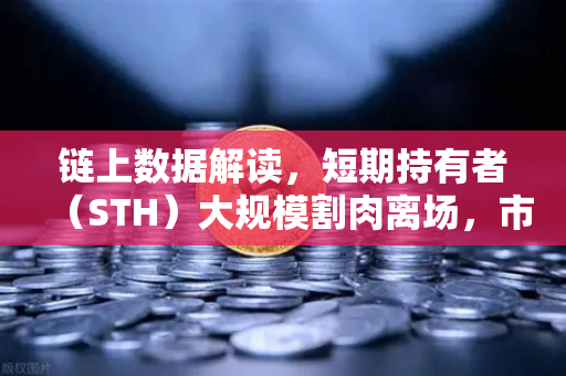 链上数据解读，短期持有者（STH）大规模割肉离场，市场底部信号已现？