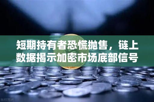 短期持有者恐慌抛售，链上数据揭示加密市场底部信号