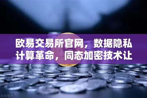 欧易交易所官网，数据隐私计算革命，同态加密技术让数据可用不可见