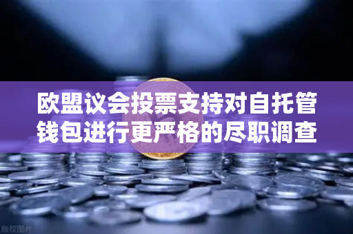 欧盟议会投票支持对自托管钱包进行更严格的尽职调查，加密合规新纪元