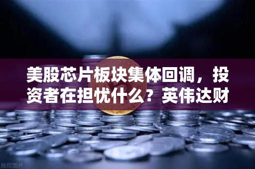 美股芯片板块集体回调，投资者在担忧什么？英伟达财报定方向