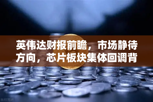 英伟达财报前瞻，市场静待方向，芯片板块集体回调背后的真相