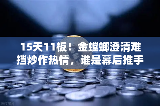 15天11板！金螳螂澄清难挡炒作热情，谁是幕后推手？游资手法深度解析