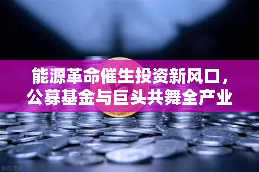 能源革命催生投资新风口，公募基金与巨头共舞全产业链